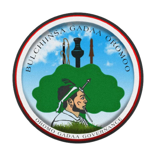 OROMO GOVERNANCE AND POLICY RESEARCH INSTITUTE